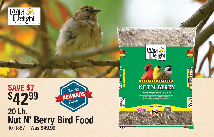 20 Lb. Nut N' Berry Bird Food